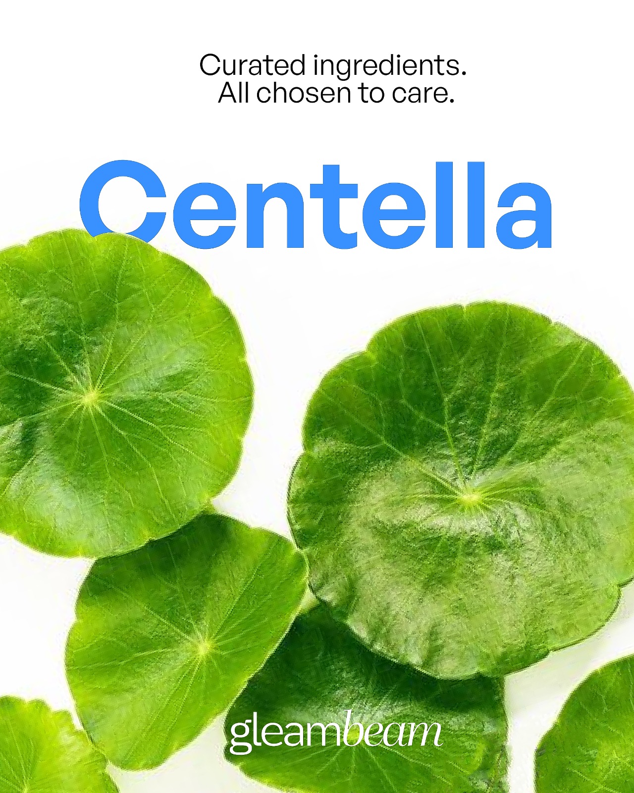 Centella Asiatica Extract